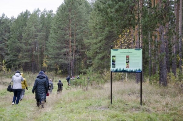 На Тарских увалах цветут орхидеи и прилетают из Африки перелётные бабочки