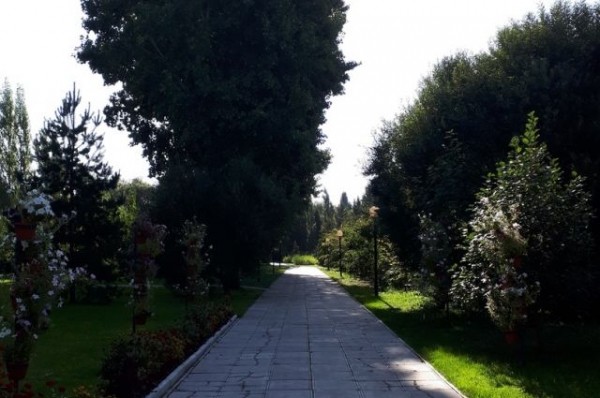 В Омске слушания по судьбе дендросада отменили из-за коронавируса