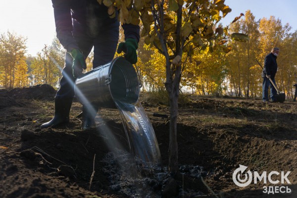 В Омске появится "Зелёная река"