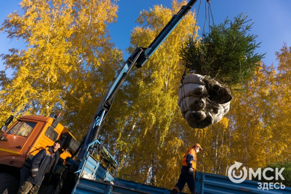 В Омске появится "Зелёная река"