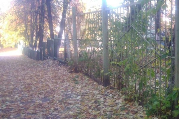 Начало недели в Омской области будет тёплым и без осадков Начало недели в Омской области будет тёплым и без осадков