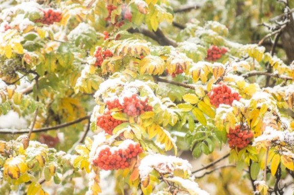 Омскую область накрыл сильный снегопад