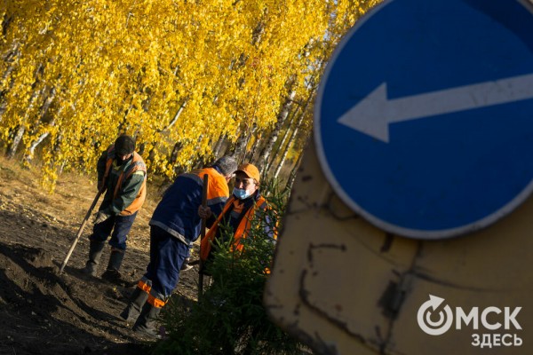 В Омске появится "Зелёная река"