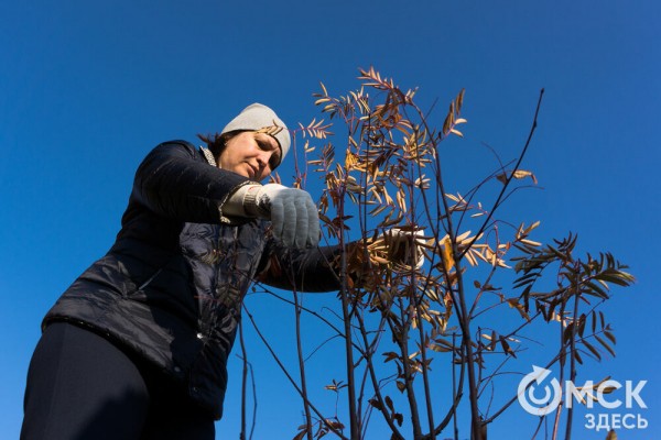 В Омске появится "Зелёная река"