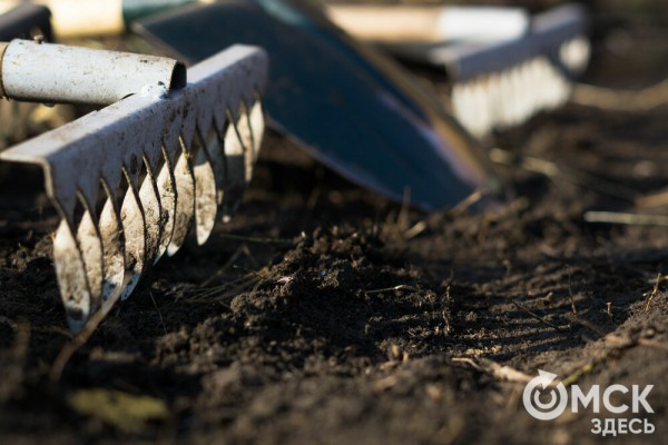 В Омске появится "Зелёная река"