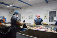 Отходы после субботника регоператор примет у муниципалитета бесплатно