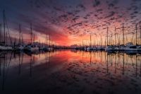 Кругосветка в пандемию. Яхта «Сибирь» вернулась в родные воды