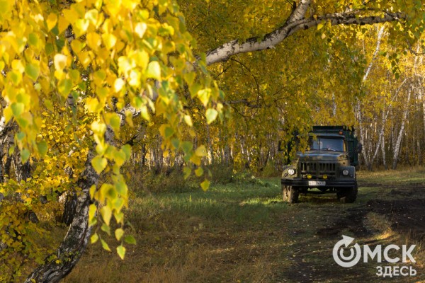 В Омске появится "Зелёная река"