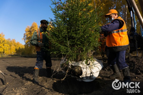 В Омске появится "Зелёная река"