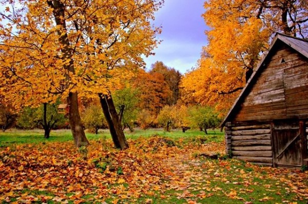 В Омской области ожидается небольшое потепление