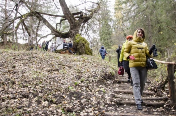 На Тарских увалах цветут орхидеи и прилетают из Африки перелётные бабочки