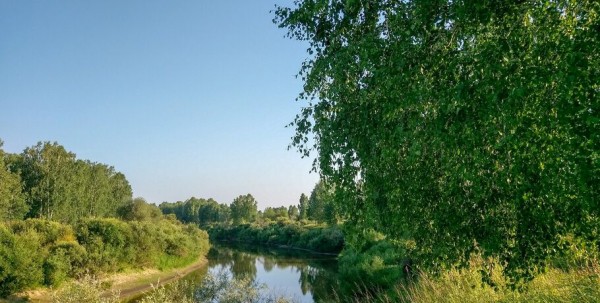 55 причин приехать в Омскую область