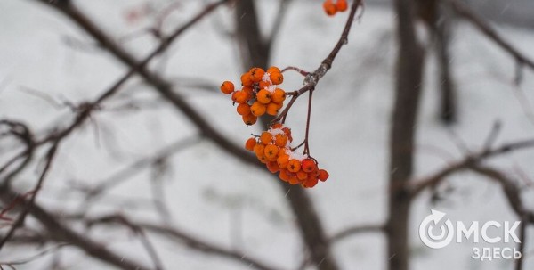 Мокрый снег и гололёд подпортят омичам выходные Мокрый снег и гололёд подпортят омичам выходные