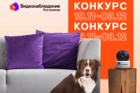 «Ростелеком» отмечает рост востребованности универсальных таксофонов «Ростелеком» отмечает рост востребованности универсальных таксофонов