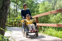 Всё есть в Сети. К услугам омичей 22 электронных сервиса ФСС