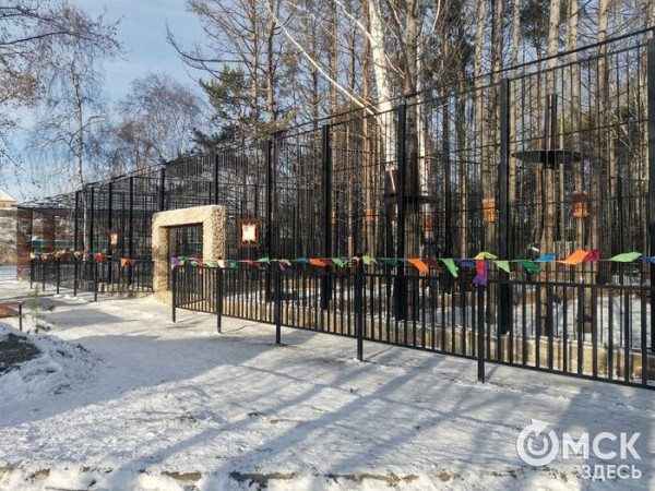 Амурские тигры за стеклом: в Большереченском зоопарке идёт большая стройка