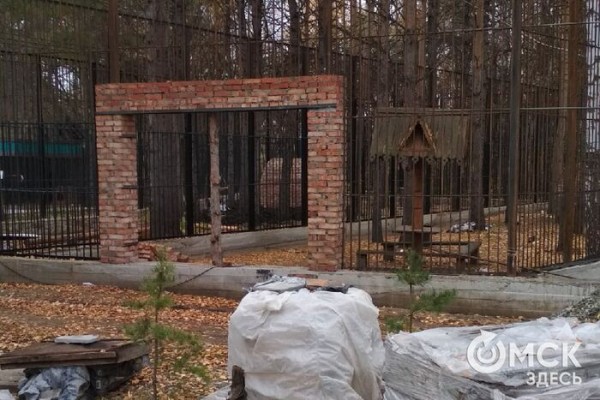 Амурские тигры за стеклом: в Большереченском зоопарке идёт большая стройка