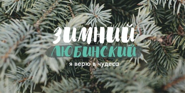 На улице Музейной в Омске "высадят" сказочный лес