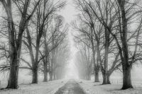 В Омске снижают нагрузку на минздрав при помощи уборки снега