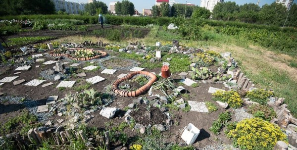 В Омске обсуждают запрет на ЖЭК-арт из шин