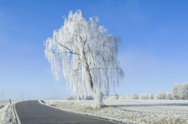 Омичей предупреждают о сильном похолодании до -26 градусов