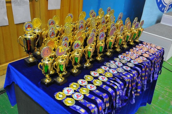 В Омске прошёл турнир по самбо памяти Александра и Никиты Петровых