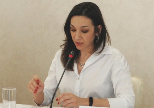 Анна Негодуйко: «Положительная динамика в экономике региона восстановится в трехлетний период»