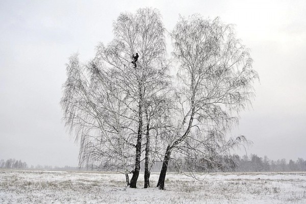 "Лёха из деревни" заинтересовался дорогами и зарплатами