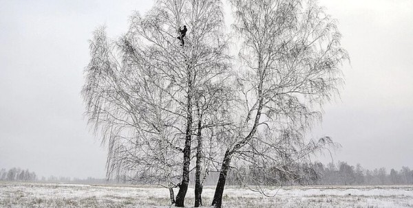 Президент России услышал "Лёху с берёзы"