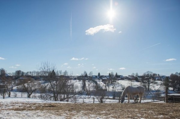 Жители «Ясной Поляны» выступили против присоединения к Омску Жители «Ясной Поляны» выступили против присоединения к Омску