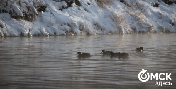 На выходных омичей подморозит