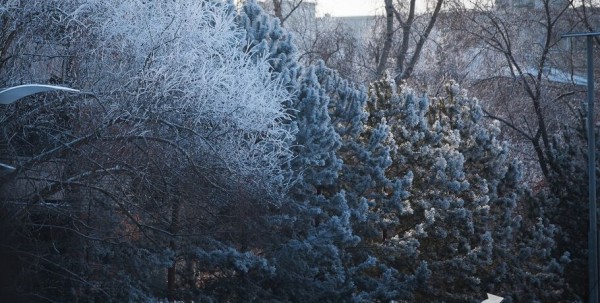 После -40 градусов в Омской области резко потеплеет