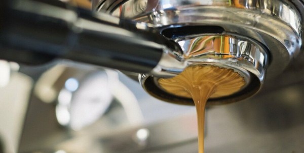 Паук из омской кофейни стал косплеем месяца Паук из омской кофейни стал косплеем месяца