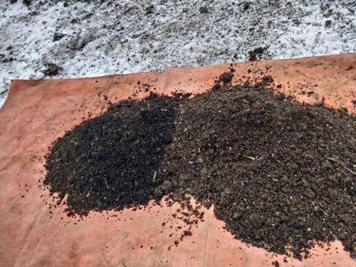 Орис Брут: «Про милых дам, телефон и… ложку дегтя»