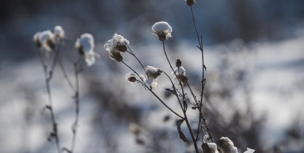 К выходным в Омске значительно потеплеет К выходным в Омске значительно потеплеет