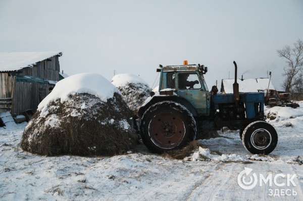 Колыбель омского "ТикТока". Как журналист "Омск Здесь" с Лёхой из деревни на берёзу лазил Колыбель омского "ТикТока". Как журналист "Омск Здесь" с Лёхой из деревни на берёзу лазил