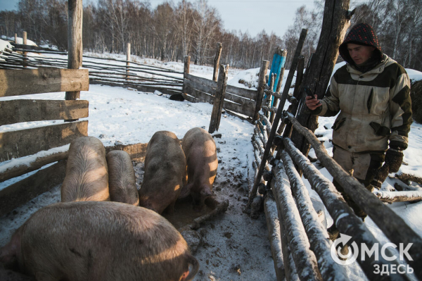 Колыбель омского "ТикТока". Как журналист "Омск Здесь" с Лёхой из деревни на берёзу лазил Колыбель омского "ТикТока". Как журналист "Омск Здесь" с Лёхой из деревни на берёзу лазил