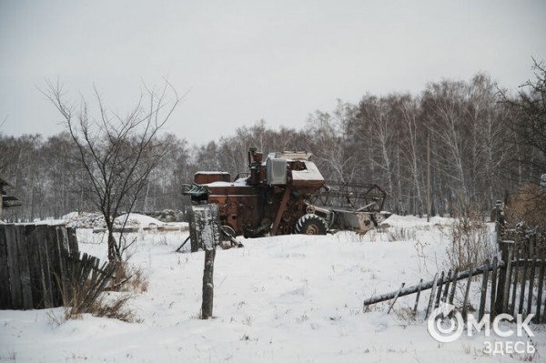 Колыбель омского "ТикТока". Как журналист "Омск Здесь" с Лёхой из деревни на берёзу лазил Колыбель омского "ТикТока". Как журналист "Омск Здесь" с Лёхой из деревни на берёзу лазил