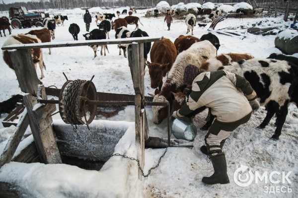 Колыбель омского "ТикТока". Как журналист "Омск Здесь" с Лёхой из деревни на берёзу лазил Колыбель омского "ТикТока". Как журналист "Омск Здесь" с Лёхой из деревни на берёзу лазил