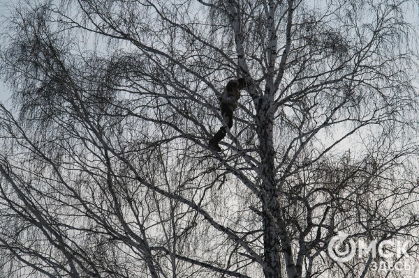 Колыбель омского "ТикТока". Как журналист "Омск Здесь" с Лёхой из деревни на берёзу лазил Колыбель омского "ТикТока". Как журналист "Омск Здесь" с Лёхой из деревни на берёзу лазил