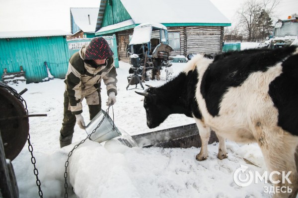 Колыбель омского "ТикТока". Как журналист "Омск Здесь" с Лёхой из деревни на берёзу лазил Колыбель омского "ТикТока". Как журналист "Омск Здесь" с Лёхой из деревни на берёзу лазил
