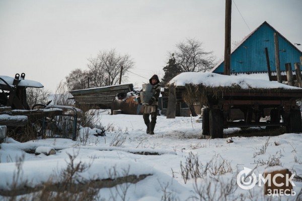 Колыбель омского "ТикТока". Как журналист "Омск Здесь" с Лёхой из деревни на берёзу лазил Колыбель омского "ТикТока". Как журналист "Омск Здесь" с Лёхой из деревни на берёзу лазил
