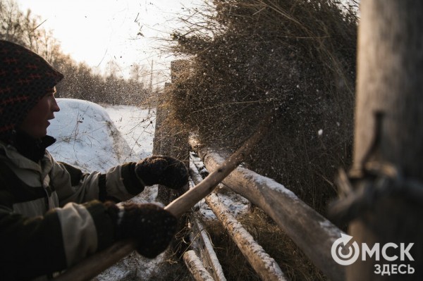 Колыбель омского "ТикТока". Как журналист "Омск Здесь" с Лёхой из деревни на берёзу лазил Колыбель омского "ТикТока". Как журналист "Омск Здесь" с Лёхой из деревни на берёзу лазил