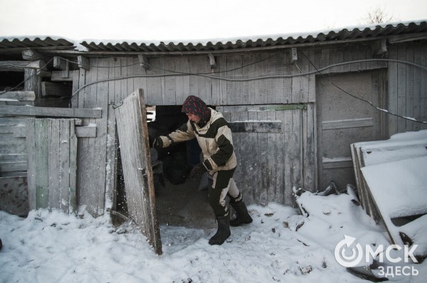 Колыбель омского "ТикТока". Как журналист "Омск Здесь" с Лёхой из деревни на берёзу лазил Колыбель омского "ТикТока". Как журналист "Омск Здесь" с Лёхой из деревни на берёзу лазил