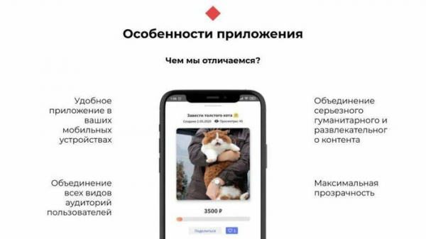 Омичи создали приложение для помощи и исполнения желаний