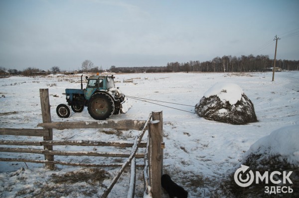 Колыбель омского "ТикТока". Как журналист "Омск Здесь" с Лёхой из деревни на берёзу лазил Колыбель омского "ТикТока". Как журналист "Омск Здесь" с Лёхой из деревни на берёзу лазил