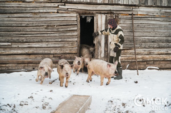 Колыбель омского "ТикТока". Как журналист "Омск Здесь" с Лёхой из деревни на берёзу лазил Колыбель омского "ТикТока". Как журналист "Омск Здесь" с Лёхой из деревни на берёзу лазил