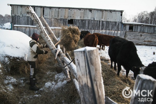 Колыбель омского "ТикТока". Как журналист "Омск Здесь" с Лёхой из деревни на берёзу лазил Колыбель омского "ТикТока". Как журналист "Омск Здесь" с Лёхой из деревни на берёзу лазил