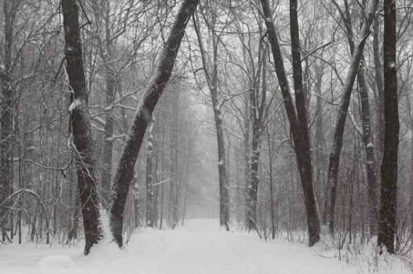 В Омском регионе до Рождества сохранятся сильные морозы