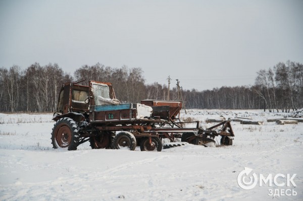 Колыбель омского "ТикТока". Как журналист "Омск Здесь" с Лёхой из деревни на берёзу лазил Колыбель омского "ТикТока". Как журналист "Омск Здесь" с Лёхой из деревни на берёзу лазил
